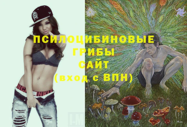 стафф Абдулино