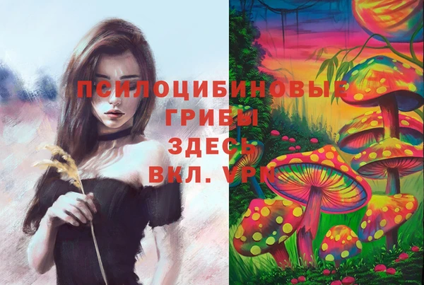 стафф Абдулино