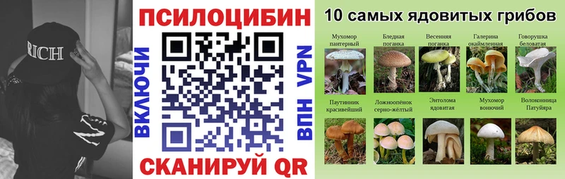 Галлюциногенные грибы мухоморы  Торжок 