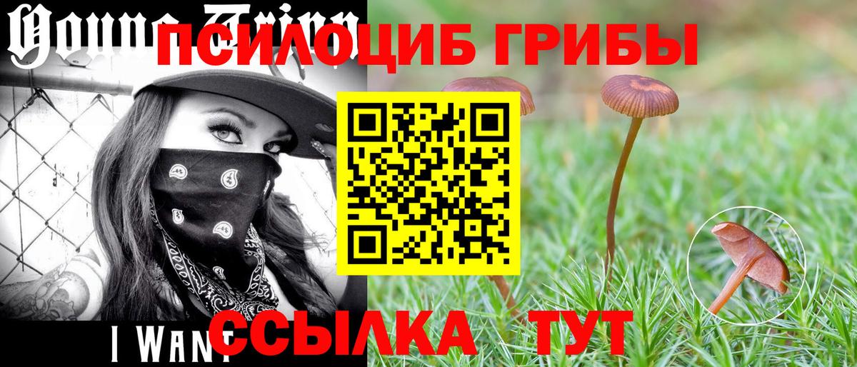 Псилоцибиновые грибы прущие грибы Торжок