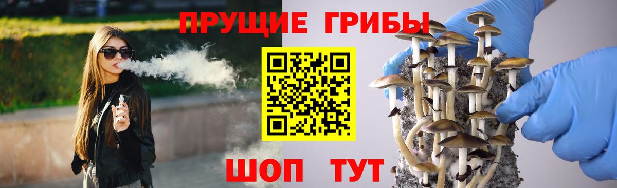 Торжок  Псилоцибиновые грибы мухоморы  Галлюциногенные грибы мицелий  Вход с VPN 