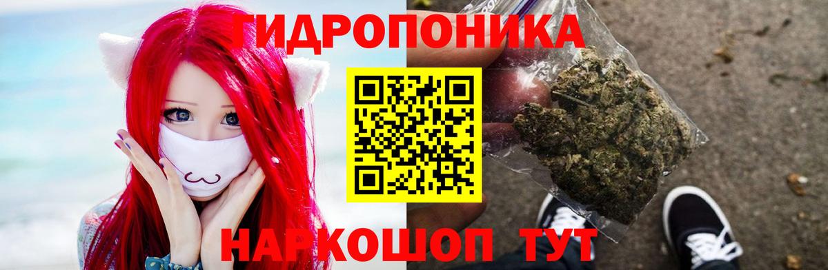 Каннабис семена  Бошки марихуана AK-47  МАРИХУАНА семена  Вход с VPN  Торжок 